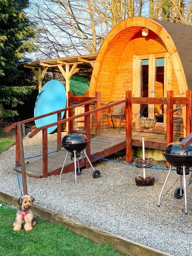 Log Cabin Келс Екстериор снимка