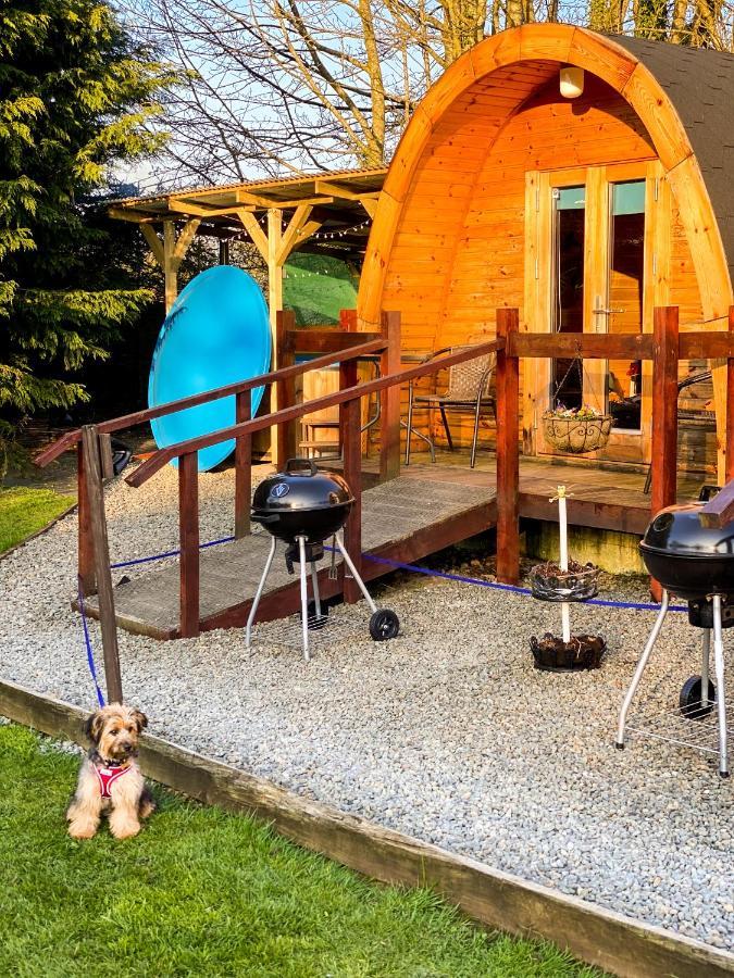 Log Cabin Келс Екстериор снимка